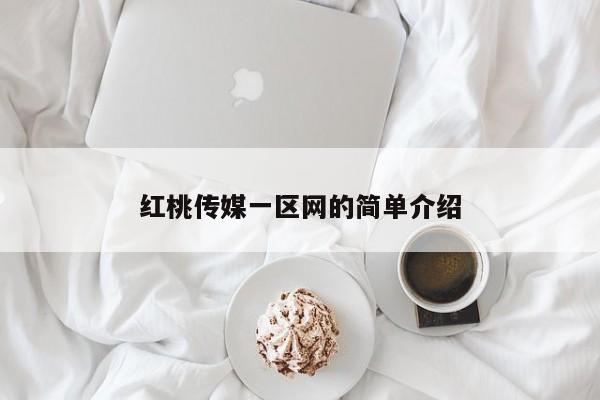 红桃传媒一区网的简单介绍