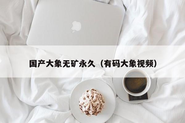 国产大象无矿永久（有码大象视频）