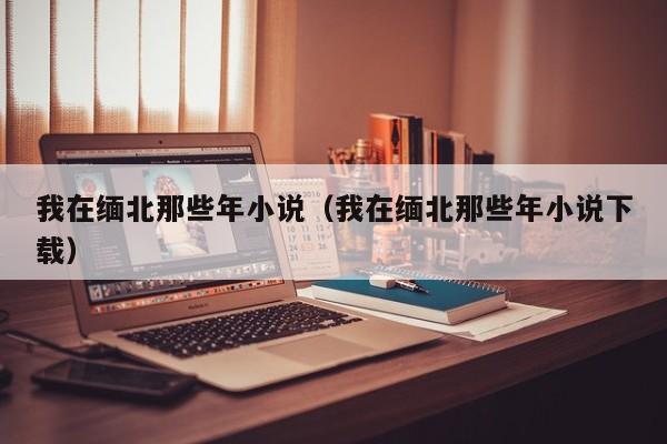 我在缅北那些年小说（我在缅北那些年小说下载）