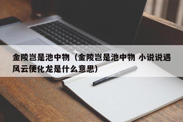 金陵岂是池中物（金陵岂是池中物 小说说遇风云便化龙是什么意思）