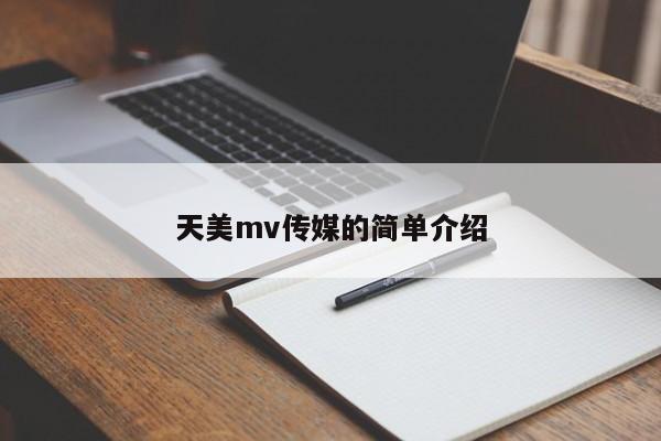 天美mv传媒的简单介绍