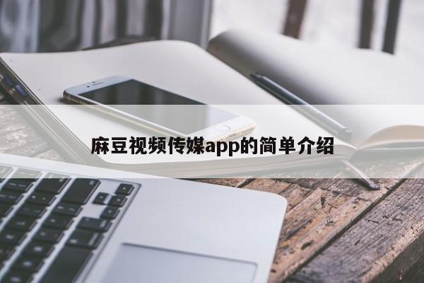 麻豆视频传媒app的简单介绍