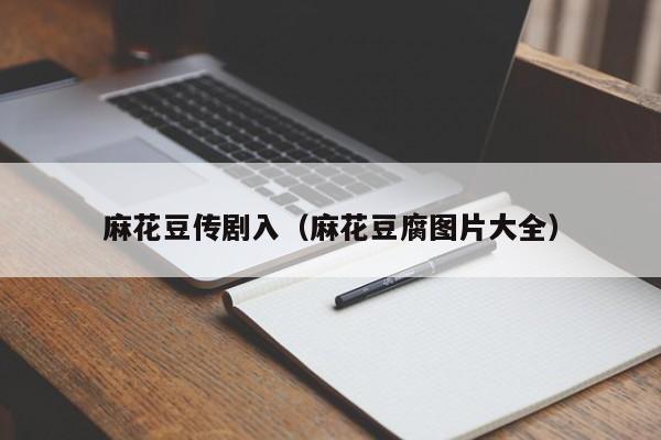 麻花豆传剧入（麻花豆腐图片大全）