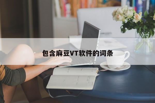 包含麻豆VT软件的词条