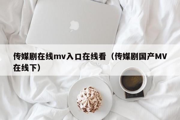 传媒剧在线mv入口在线看（传媒剧国产MV在线下）